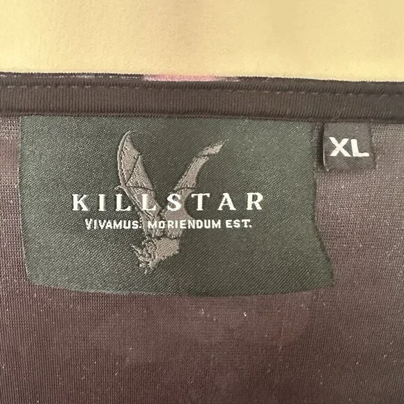 SOLD Killstar Witchy Women XL Velvet Top Bell Sleeve Black Skull Pink Rose Whims - Picture 2 of 11